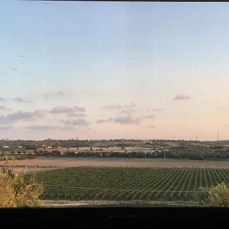 Le Sorelle Del Vino *