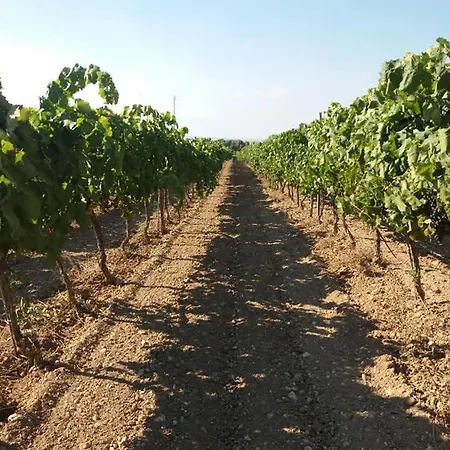 Le Sorelle Del Vino Marzamemi