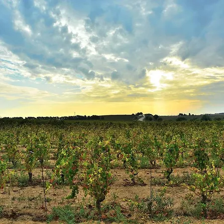 Agroturismo Le Sorelle Del Vino